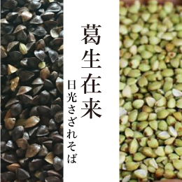 葛生在来(日光さざれそば)