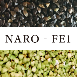 NARO-FE1