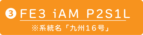 ③FE3 iAM P2S1L　※系統名「九州１６号」